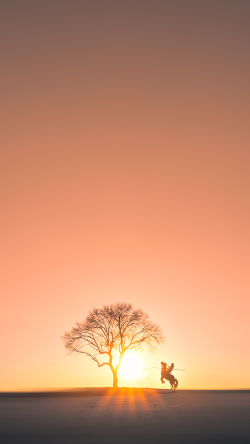 kaiyun官方入口登录-AI分析让比赛更激烈：智能算法助力战术优化，ai智能算法是什么